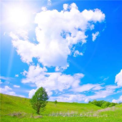 半岛官方APP入口