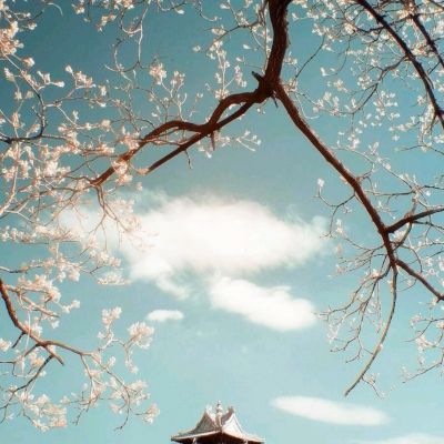 澳门新莆京游戏截图