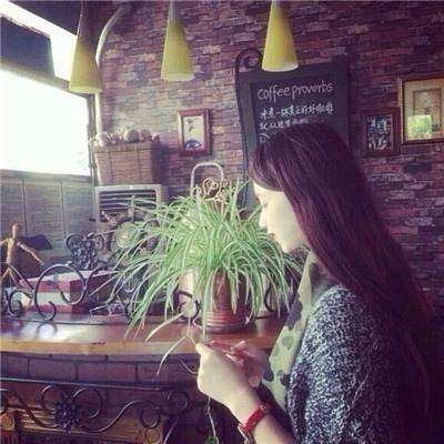 半岛官方APP入口